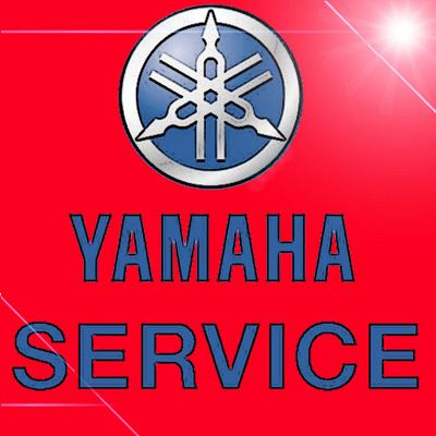 Product picture Yamaha tt250 tt250r ttr250l ttr250 service workshop manual